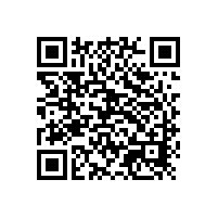 山東銀箭鋁銀漿：涂料行業(yè)的璀璨明星