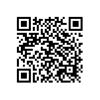 山東銀箭，塑膠漆應用的創新者