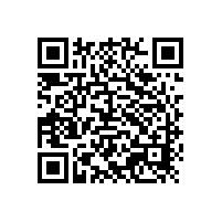 市委領導視察銀箭鋁銀漿安全生產