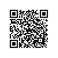 水性鋁銀漿不選山東銀箭豈不是您的損失