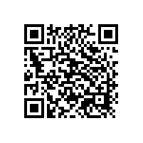 使用銀箭鋁銀漿請注意調試好配方保證涂料流平性