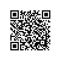涂料行業全球性漲價，銀箭鋁銀漿不漲價支持您！