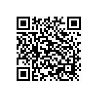 探索銀箭鋁銀漿：科技之美，閃耀未來(lái)