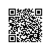 想試樣定做銀箭鋁銀漿的客戶盡管來吧！大廠家歡迎您！