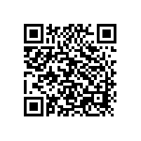 行業(yè)淡季銀箭ZNA-110鋁銀漿客戶堅挺