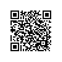 銀粉漆涂裝中的掉銀現象