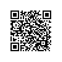 銀箭的鋁銀漿產品和服務讓人滿意