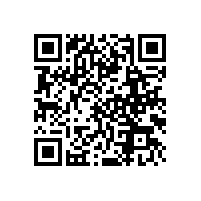 銀箭的夢想 我的夢想