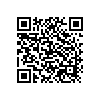 銀箭高性能塑膠漆用鋁銀漿獲得新客戶好評