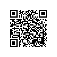 銀箭鋁粉陪您由國際大牌企業看中國涂料行業百年成果