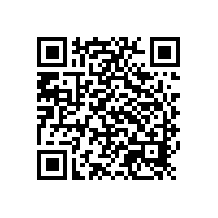 銀箭鋁銀漿：船舶涂料領域的美學革新者