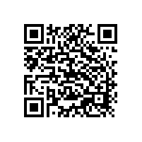 銀箭鋁銀漿大客戶阿克蘇諾貝爾2016開年收購業務成熱點