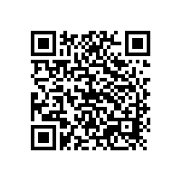 銀箭鋁銀漿合作伙伴-阿克蘇諾貝爾