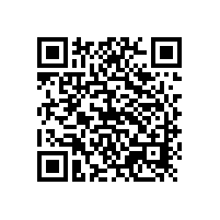 銀箭鋁銀漿合作伙伴-東洋油墨