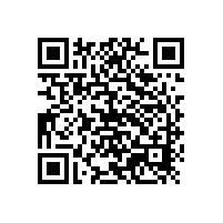 銀箭鋁銀漿積極進(jìn)入中亞涂料市場