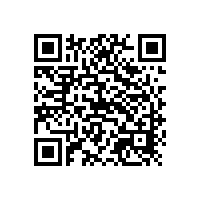 銀箭鋁銀漿,免噴涂鋁銀漿，效果杠杠的