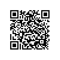 銀箭鋁銀漿全面進入越南市場