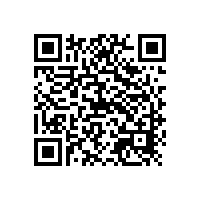 銀箭鋁銀漿淺談涂料的分散介質