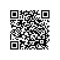 銀箭鋁銀漿：涂料領(lǐng)域的“金屬衛(wèi)士”