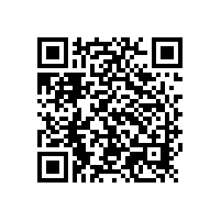 銀箭鋁銀漿在金屬烤漆中的卓越應用