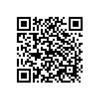 銀箭鋁銀漿在汽車漆用塑膠漆中的應用