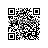 銀箭水性鋁銀漿簡介