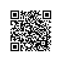 銀箭水性鋁銀漿與國內(nèi)水性顏料齊發(fā)展