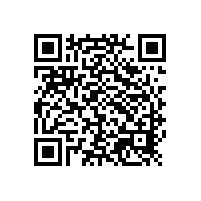 中國鋁粉工業發展