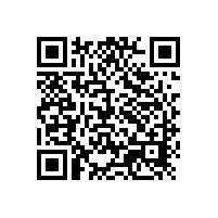 在章丘區與銀箭鋁銀漿員工的個圣誕節