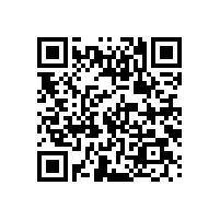 山东草莓视频下载大全最新新颜料股份有限公司董事长随德州市长赴印尼共谋经济发展战略