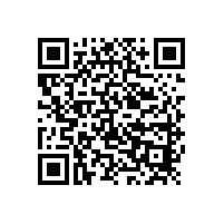 說一說雙質體振動給料機的日常維護問題