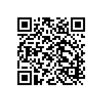 有關(guān)李文鎖城公司品牌建設(shè)與連鎖店管理方面的建議