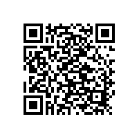 山東銀箭帶您了解鋁銀漿粒徑與遮蓋力的關系