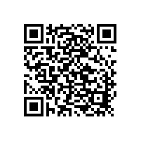 山東銀箭鋁銀漿仿電鍍系列鋁銀漿你了解多少?