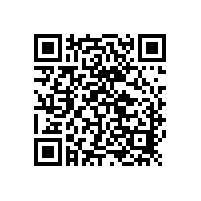 銀箭鋁銀漿祝賀PPG汽車裝飾性塑料件涂料卓越制造列表天津成立