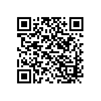 上海申江壓力容器有限公司與百年申江是一家公司嗎?