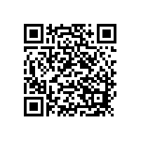 上海羅先生安裝韋柏隱形紗窗門