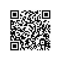 郴汽集團郴州汽車總站首批純電動車郴安線正式運營