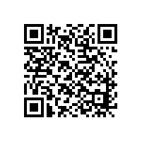 柳絮紛飛不是雪