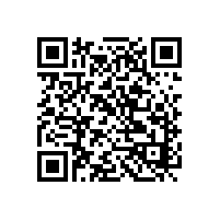 机器人喇叭对现有的喇叭型号有哪些挑战？