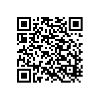 防爆高温内窥式摄像系统---防爆监视控制系统一大利剑