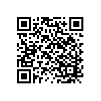 中國民宿行業(yè)市場前景研究報(bào)告