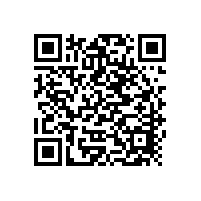 柴油发电机组蓄电池《敏感性与适应性》