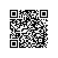 柴油发电机组蓄电池全员学习《消费动机特点》