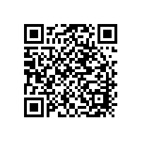 柴油发电机组蓄电池全员学习《消费者体验和满意度理论》