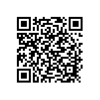 电瓶铅膏密度及其决定参数