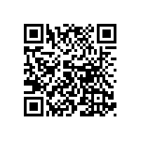 发电机专用电池铅电极的充、放电机理