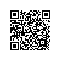 发电机专用电池全组学习《发展性原则》