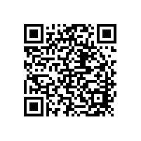 国外发电机专用电池试验方法