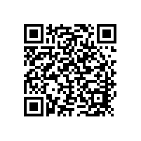 机组电池电解液中的污染物